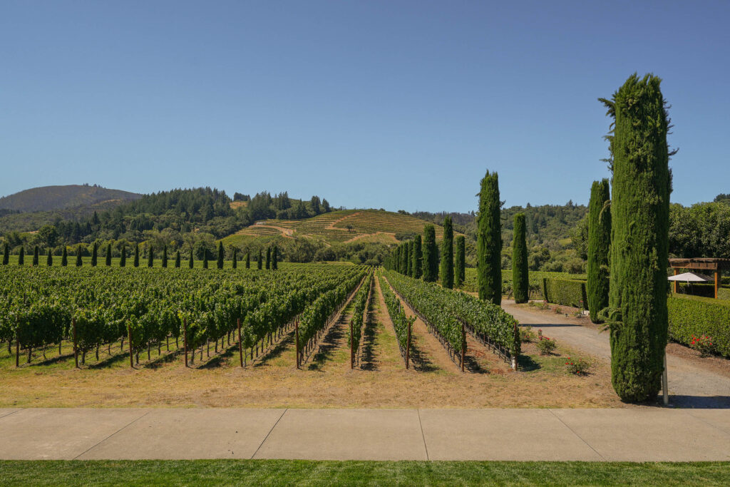 Photographer: Andrei Nadar; Stellar Estate Media, Wine Country,