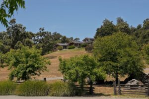 Photographer: Andrei Nadar; Stellar Estate Media, Wine Country,