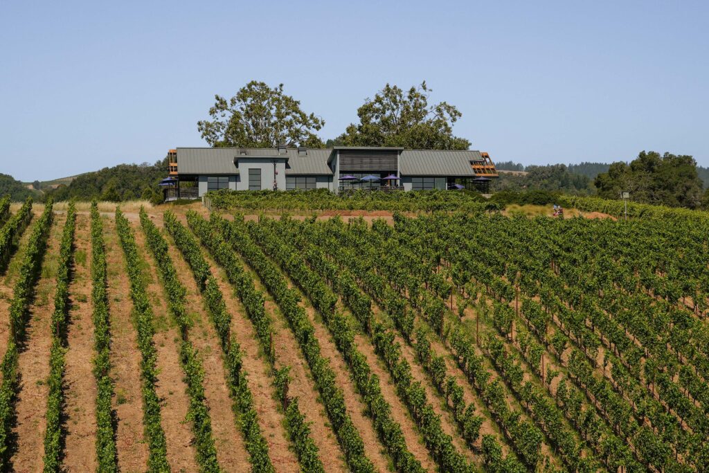 Photographer: Andrei Nadar; Stellar Estate Media, Wine Country,