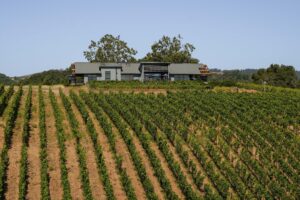 Photographer: Andrei Nadar; Stellar Estate Media, Wine Country,